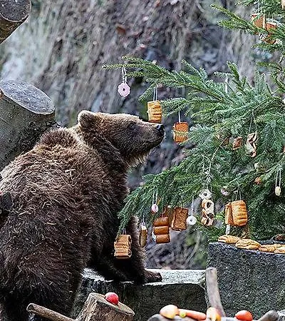 ペンション タラールーフ ドゥーム ゲストハウス 3*